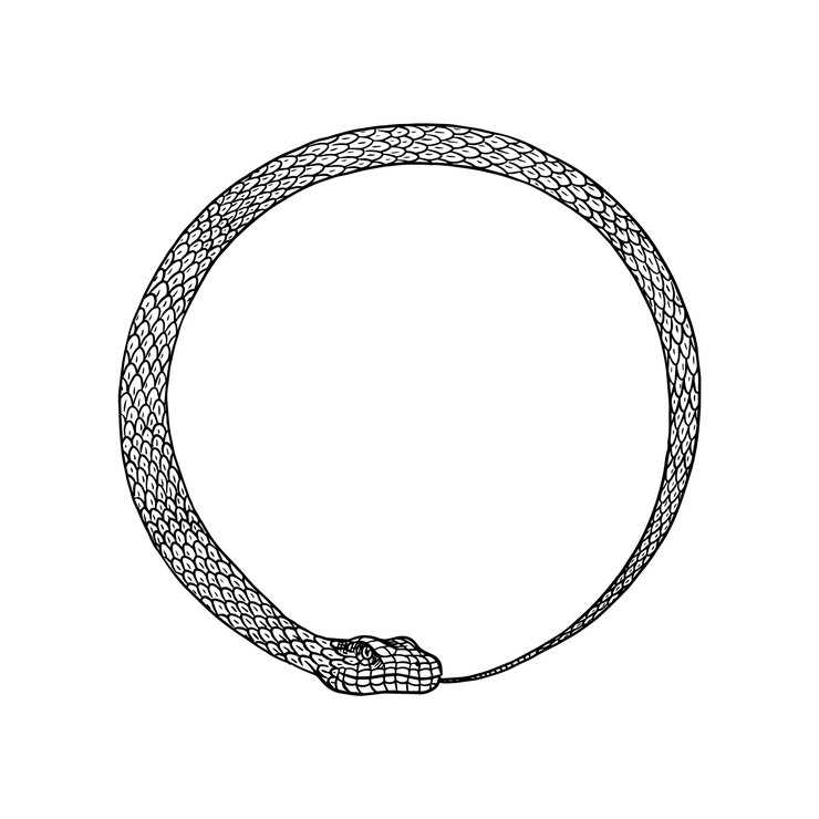 Vetor cobra circular em estilo vintage serpente cobra ou python ou víbora venenosa gravado à mão desenho de réptil antigo para tatuagem anaconda para adesivo ou logotipo ou camisetas