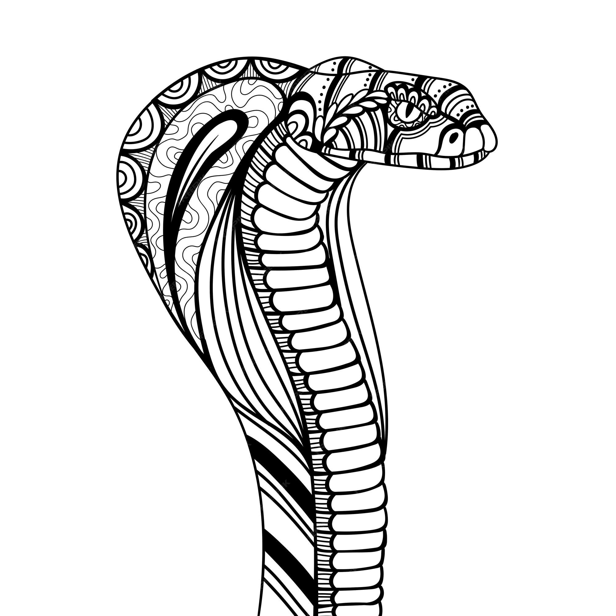 Cobra para Colorir  Desenho de cobra, Mandalas para colorir