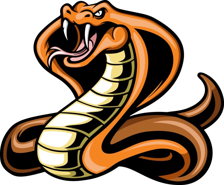 Vetor cobra cobra-rei bonita no fundo branco