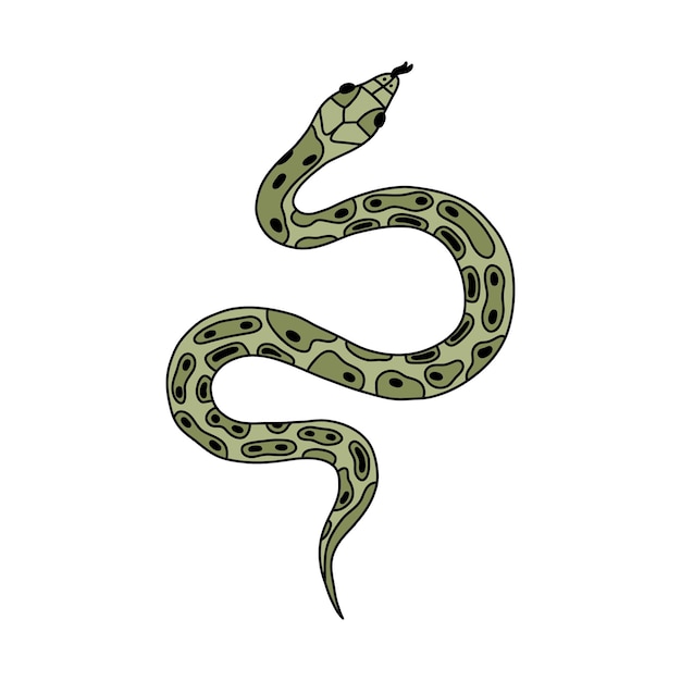 Vetor cobra desenhada à mão doodle com contorno tropical ou víbora venenosa do oeste selvagem na vista superior serpente perigosa verde isolada vetor conceito de vida selvagem selva ou cobra de zoológico deslizando com a língua para fora