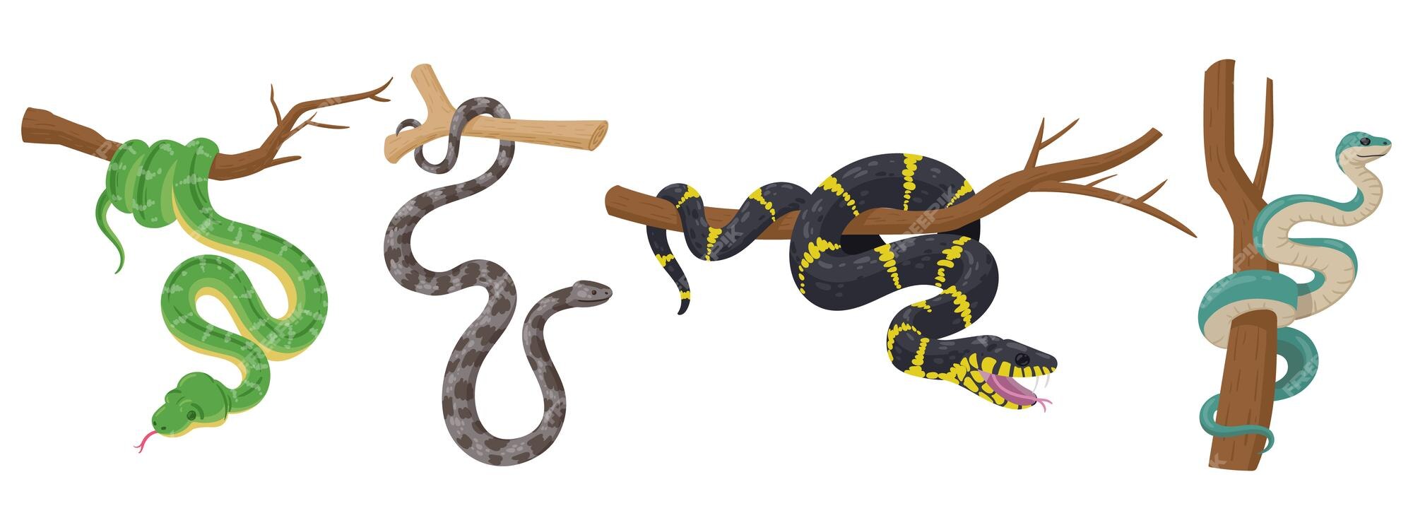 Serpente Da Cobra Dos Desenhos Animados Ilustração do Vetor