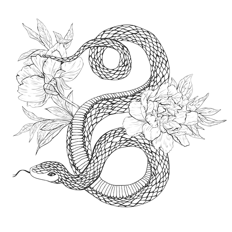 Vetor cobras e flores livros de colorir de arte de tatuagem