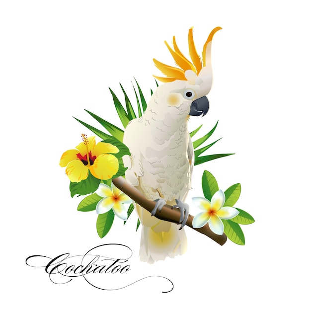 Cockatoo de papagaio sobre os ramos tropicais com folhas e flores no fundo branco