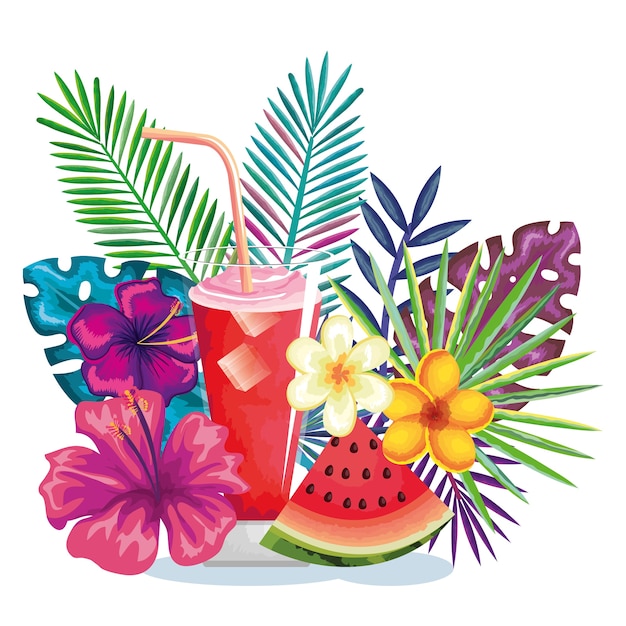 Cocktail tropical com fruta melancia e decoração design ilustração floral vector