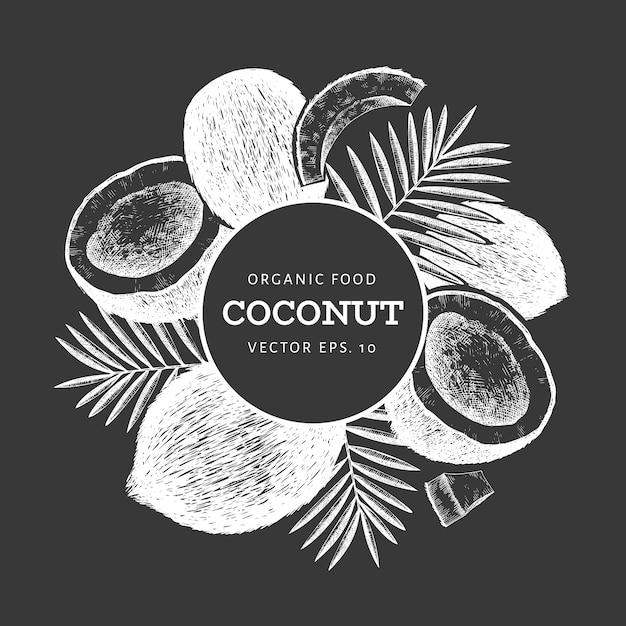 Coco com folhas de palmeira. Mão-extraídas ilustração em vetor comida no quadro de giz. Planta exótica de estilo gravado. Tropical botânico retrô.