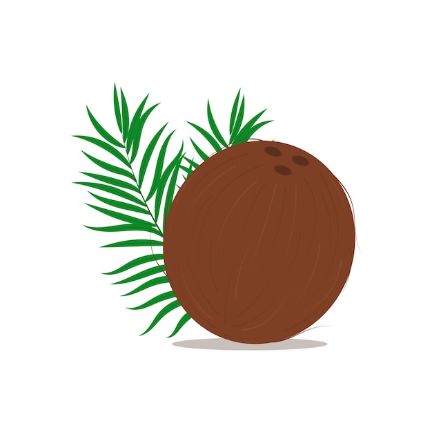 Coco com ilustração vetorial plana de folha de palmeira isolada em fundo branco