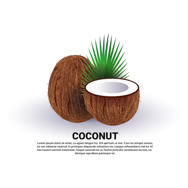 Coco em fundo branco, estilo de vida saudável ou conceito de dieta, logotipo para frutas frescas