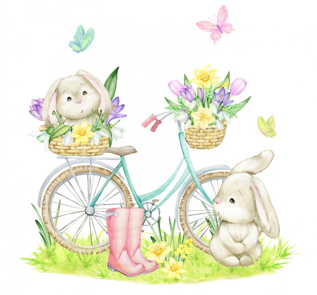Coelhos, borboletas, uma bicicleta, flores, botas, cestas, grama. Clipart aquarela