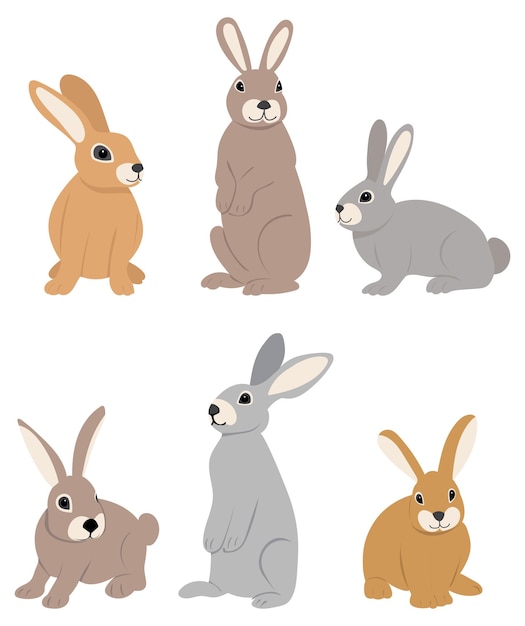 Coelhos lebres em vetor isolado de fundo branco