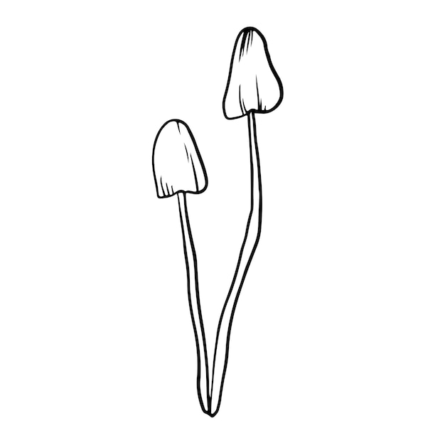 Cogumelo de estilo Doodle em fundo branco isolado. Cogumelo da floresta. Ilustração vetorial.