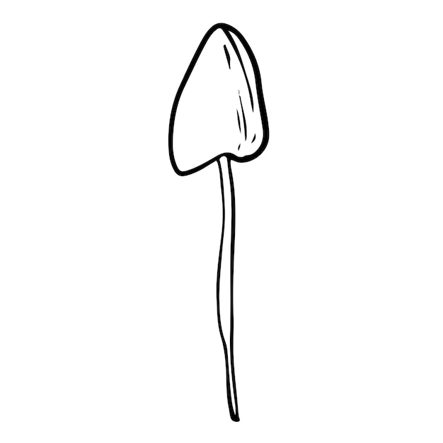 Cogumelo de estilo Doodle em fundo branco isolado. Cogumelo da floresta. Ilustração vetorial.