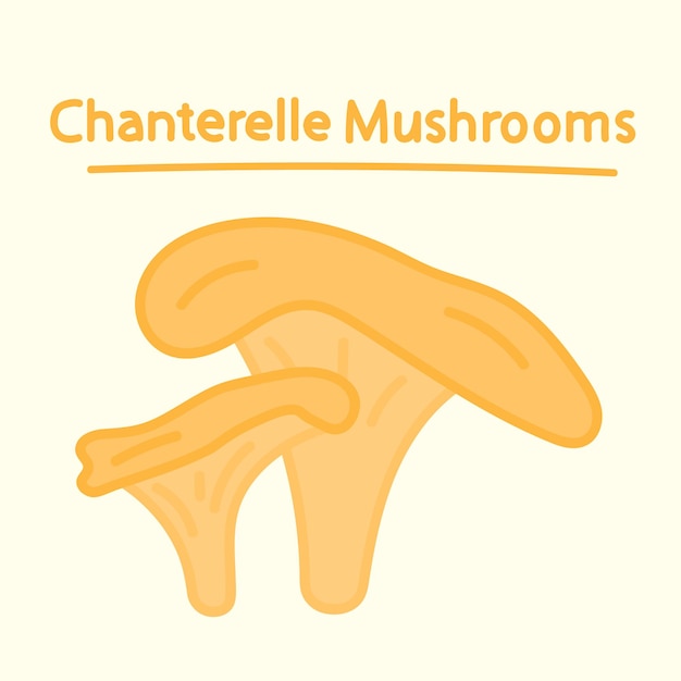 Cogumelos chanterelle desenhados à mão. Elemento de comida de design dos desenhos animados. Conjunto de cogumelos. Comida orgânica.