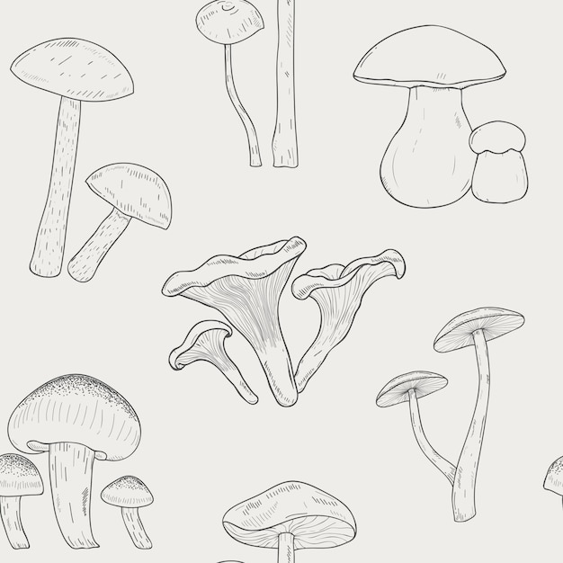 Cogumelos diferentes delinear padrão sem emenda. Mão-extraídas fungos.