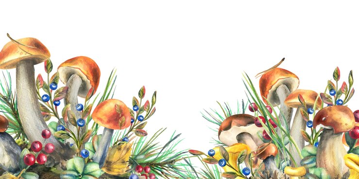 Vetor cogumelos florestais boletus chanterelles e mirtilos lingonberries galhos cones folhas ilustração de aquarela padrão desenhado à mão em um fundo branco