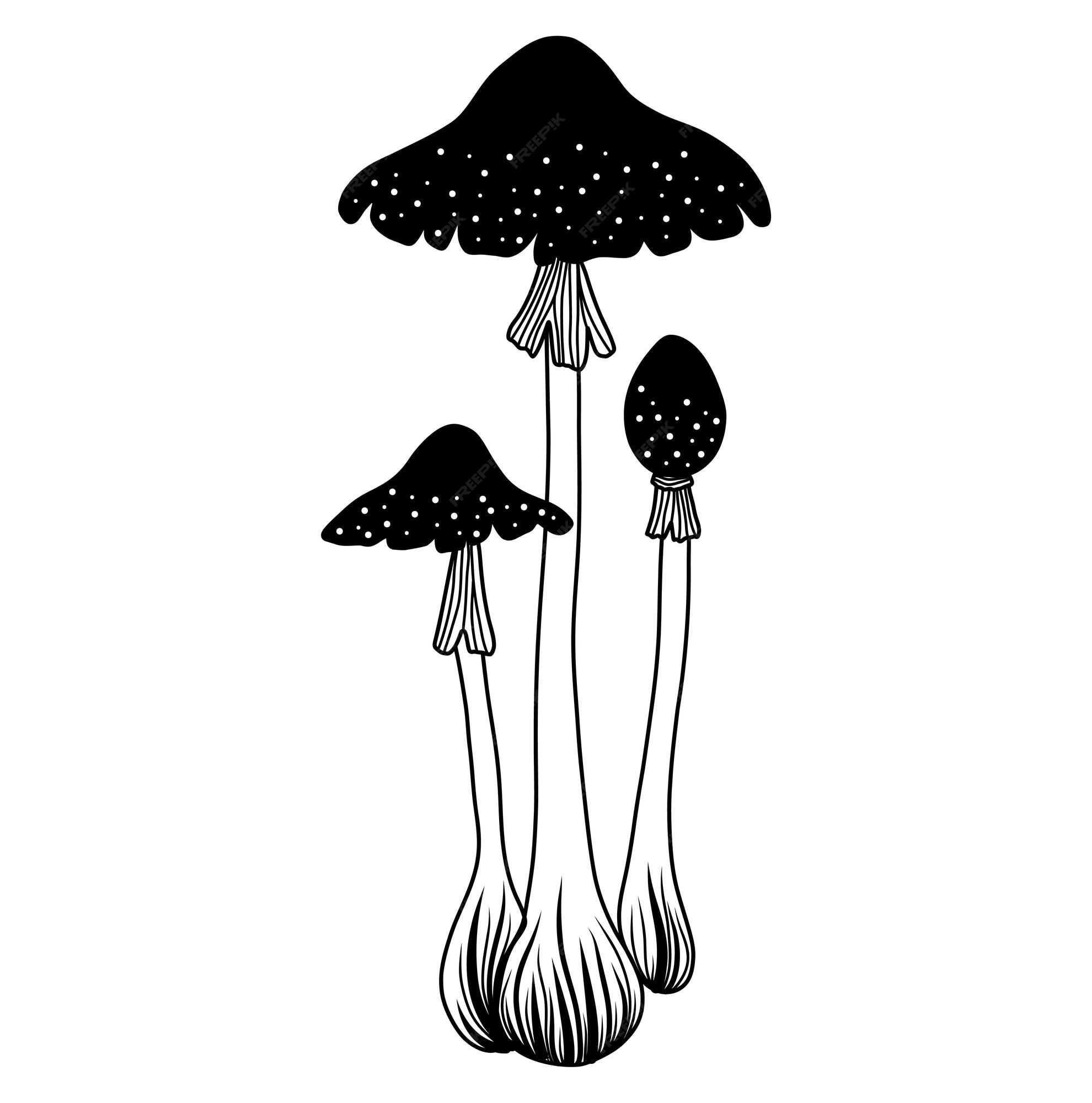 Desenho vetorial de cogumelos de boleto imagem vetorial de artelka_lucky©  407688110
