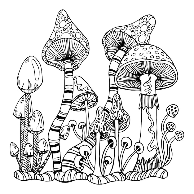 Cogumelos mágicos de contorno desenhado de esboço voam cogumelos venenosos agáricos