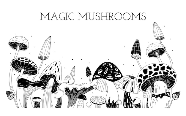 Vetor cogumelos mágicos em estilo doodle
