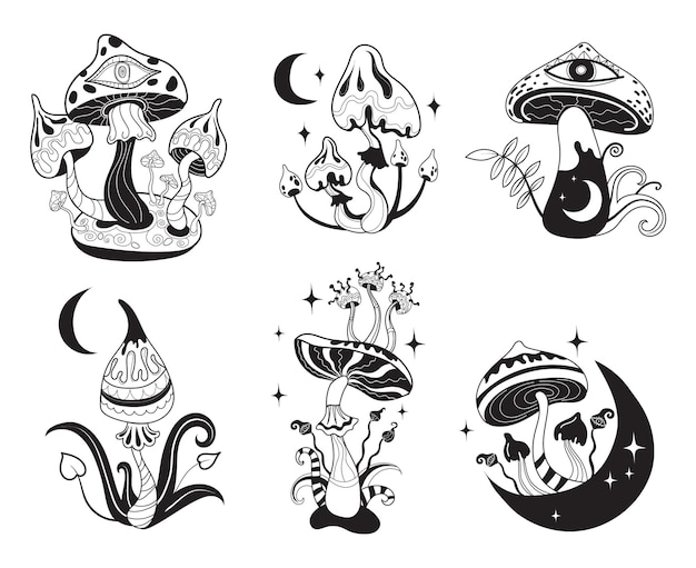 Cogumelos místicos Cogumelo bruxo celestial com contorno elementos místicos fase da lua estrelas esotéricas sakral itens góticos crescendo rapidamente hippie tatuagem de psilocibina desenhando vetor puro