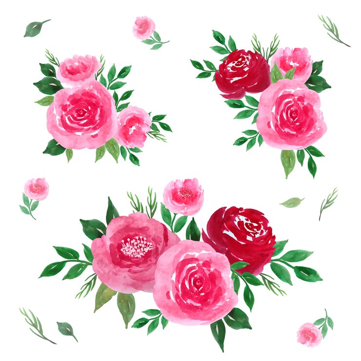 Vetor coleção aquarela de buquê floral rosa