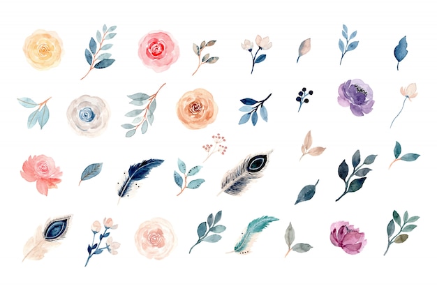 Coleção aquarela floral e elemento de penas