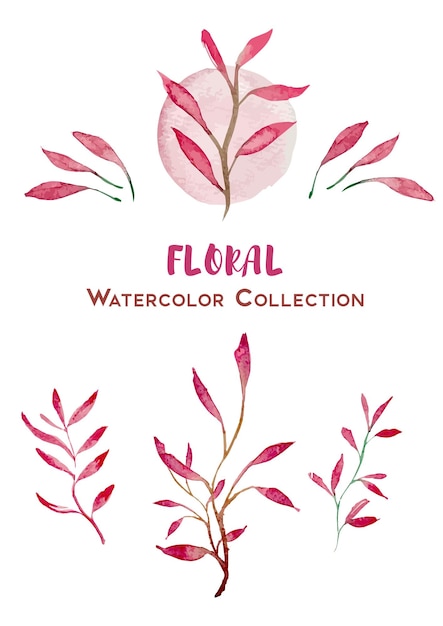 Vetor coleção aquarela floral rosa