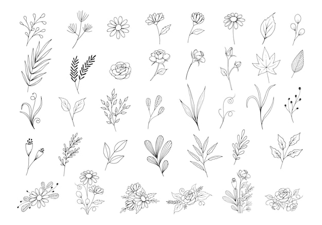 Vetor coleção botânica de doodle de flores silvestres, ilustração de clipart floral individual e arranjos.