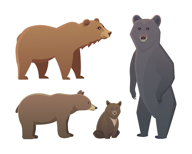 Coleção com diferentes desenhos animados de ursos, isolados no fundo branco. broun e urso preto americano. defina animais selvagens ou urso pardo do zoológico.