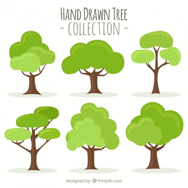 Coleção da árvore desenhada mão