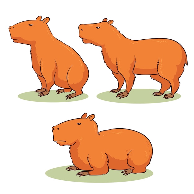 Vetor coleção de animais capivara desenhada de mão