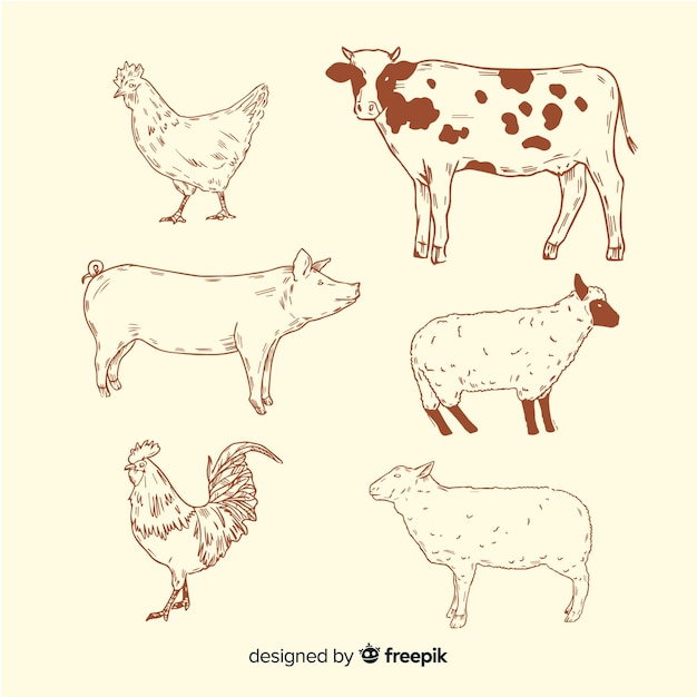 Coleção de animais de fazenda na mão desenhada estilo