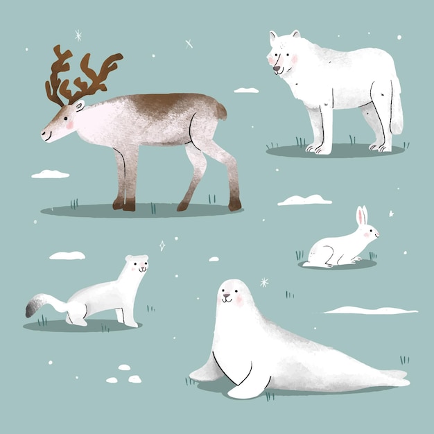 Coleção de animais de inverno desenhada à mão