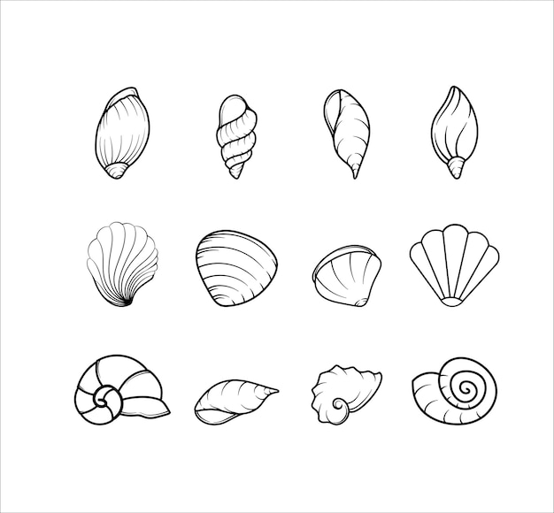 Vetor coleção de arte de linha de ilustrações de animais de concha do mar
