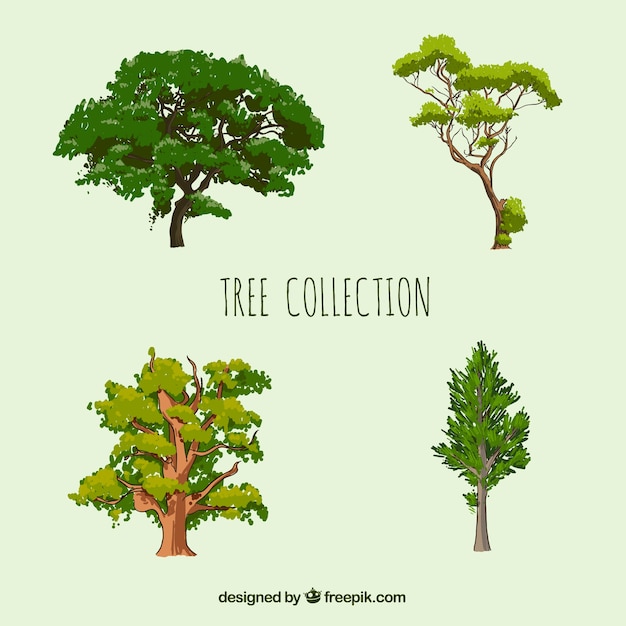 Vetor coleção de árvores em estilo realista