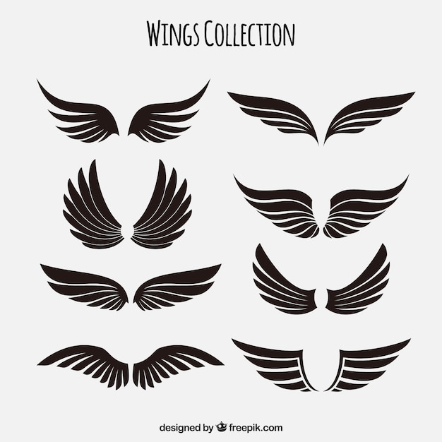Coleção de asas pretas