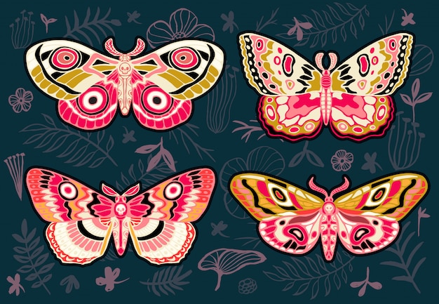 Coleção de borboletas coloridas, mariposas tropicais de noite hawkmoth em floral