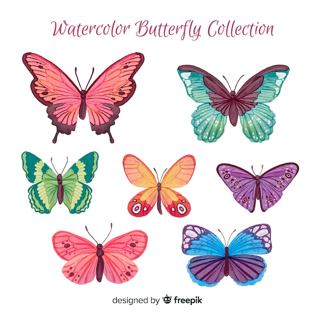 Coleção de borboletas em aquarela