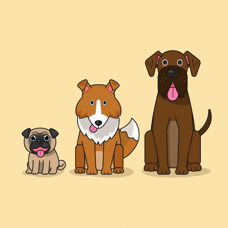 coleção de cachorro