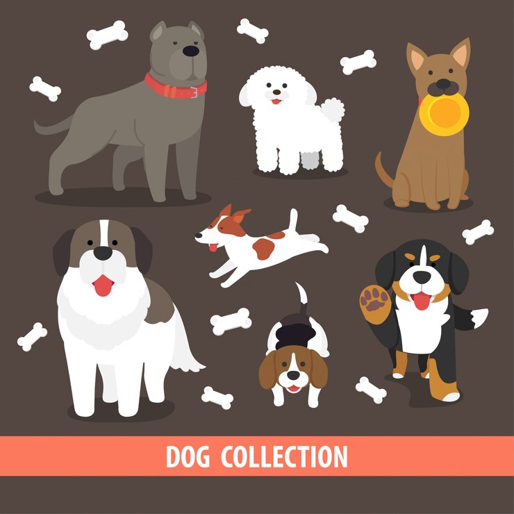 coleção de cachorro