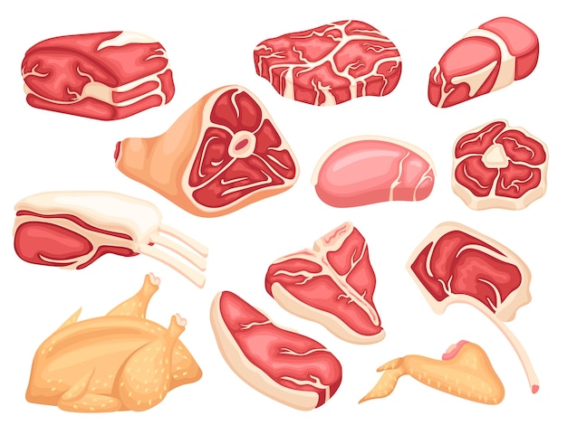 Coleção de carne crua carne de porco preparando bife fresco jantar ou almoço ingredientes frescos mercado de carnes de fazendeiros alimentos isolados fatiados puro conjunto de vetores