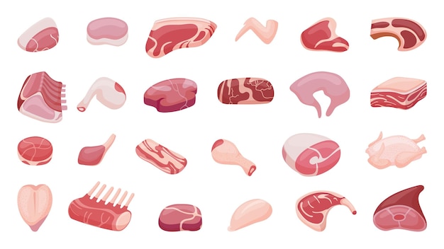 Coleção de carne crua Partes de carne de frango e porco Ingredientes de loja de açougueiro BBQ ou design de alimentos de restaurante Mercado de fazenda Bens vetoriais neotéricos