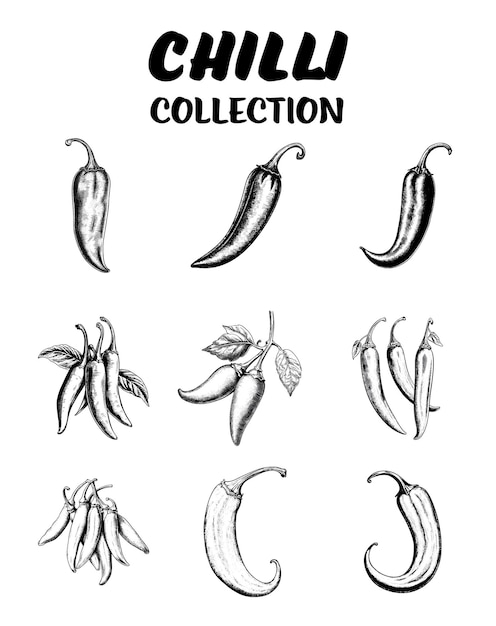 Coleção de chiles jalapeo desenhados