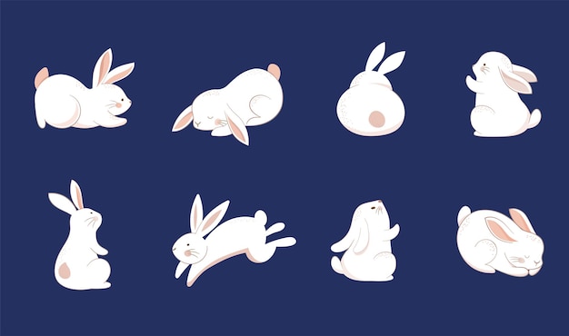 Coleção de coelhos bonitos para o Festival do Meio Outono, Páscoa, Ano Novo Chinês e decoração do berçário