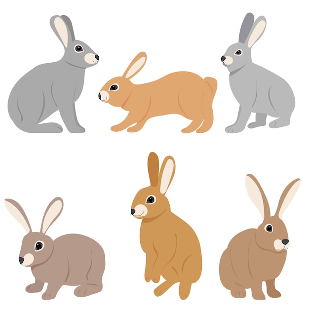 Coleção de coelhos em vetor isolado de fundo branco