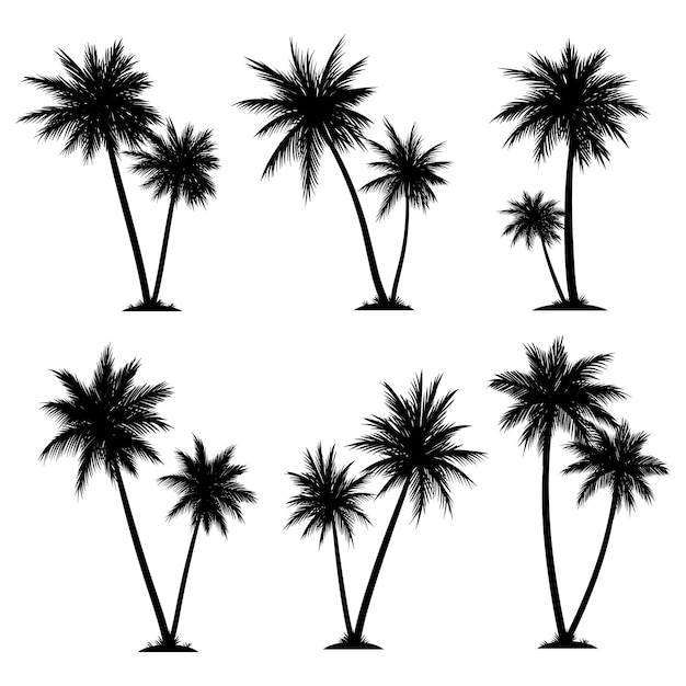 Vetor coleção de conjunto de elementos de silhueta de coco de palmeira