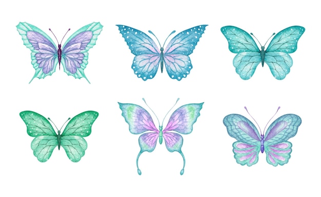 Coleção de conjuntos de borboletas em aquarela pintadas à mão