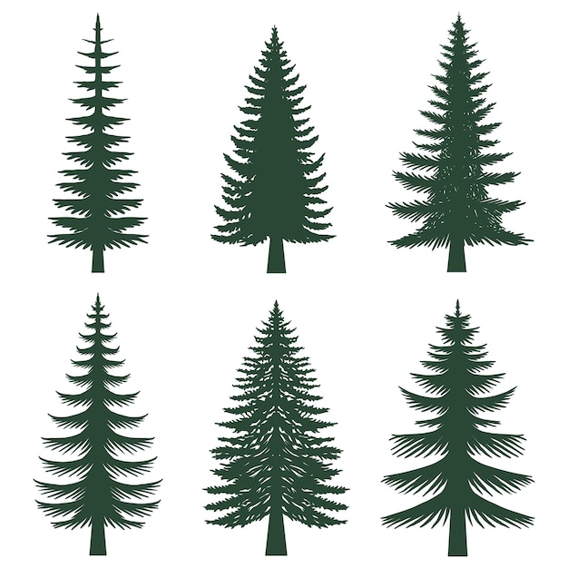 Vetor coleção de conjuntos de silhuetas de pinheiros
