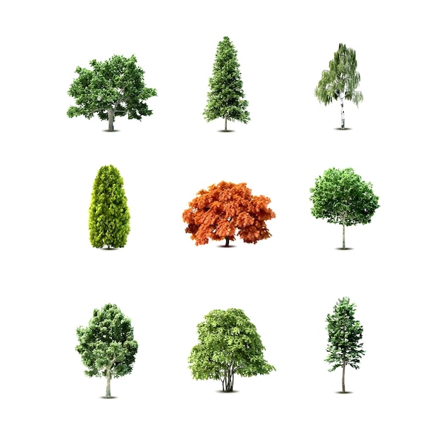 coleção de conjuntos vetoriais ilustração de árvore vetorial