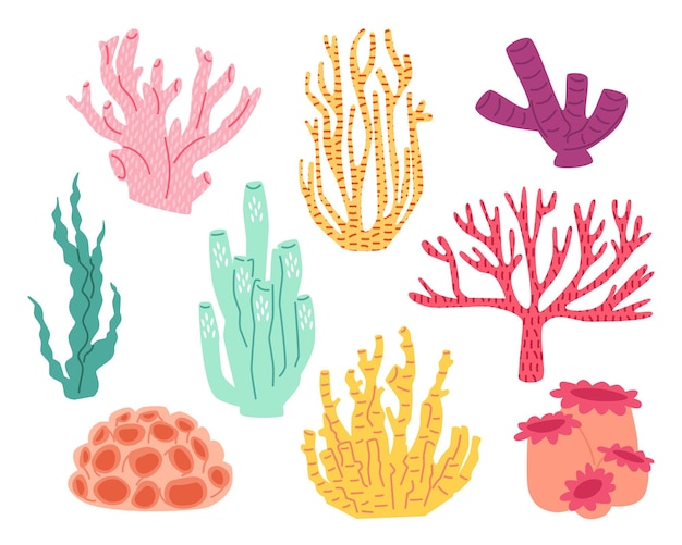 Coleção de corais coloridos e plantas oceânicas