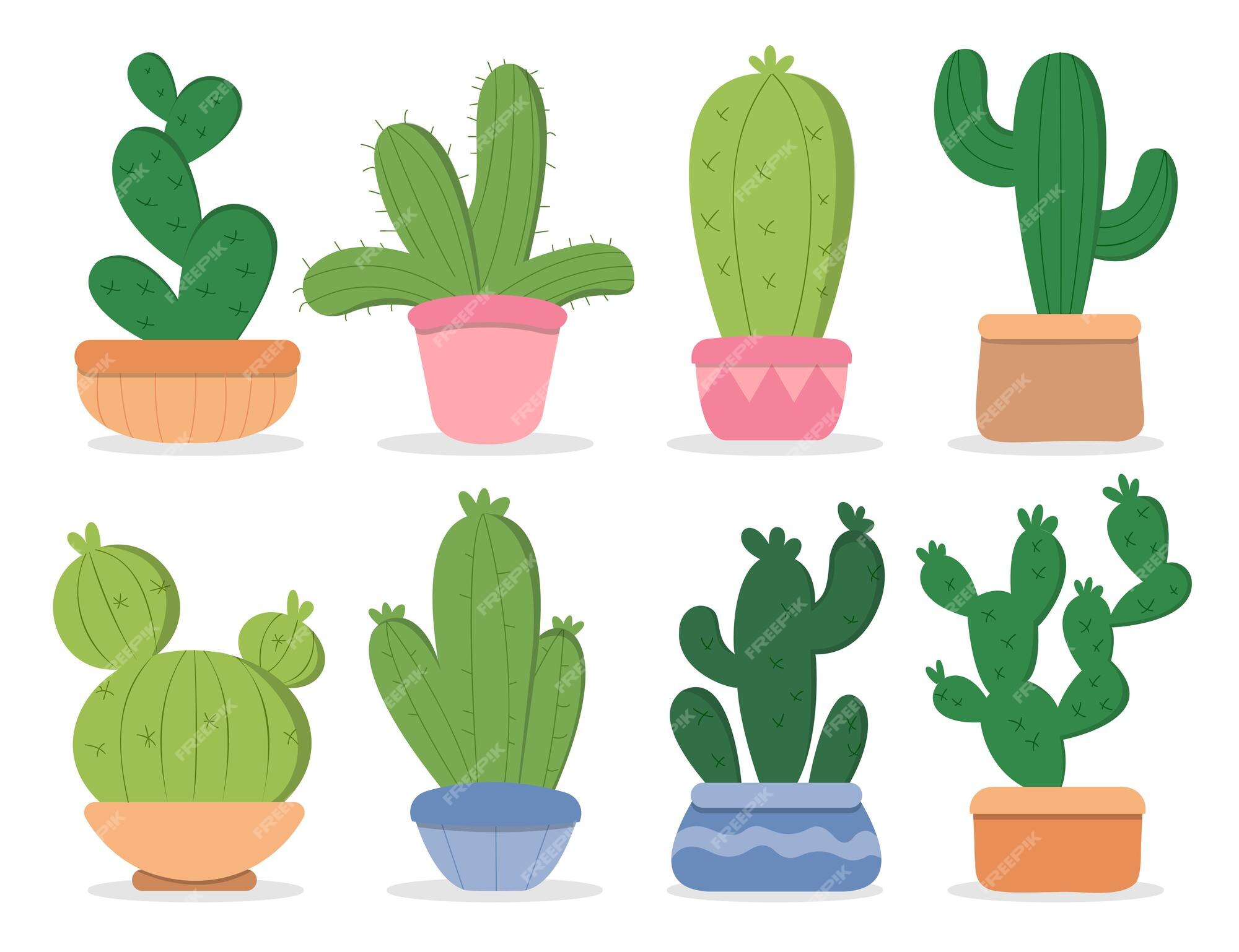 Desenhos de Cactos Vetor EPS [download] - Designi