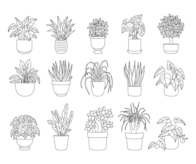 Coleção de desenhos de linhas de plantas de casa